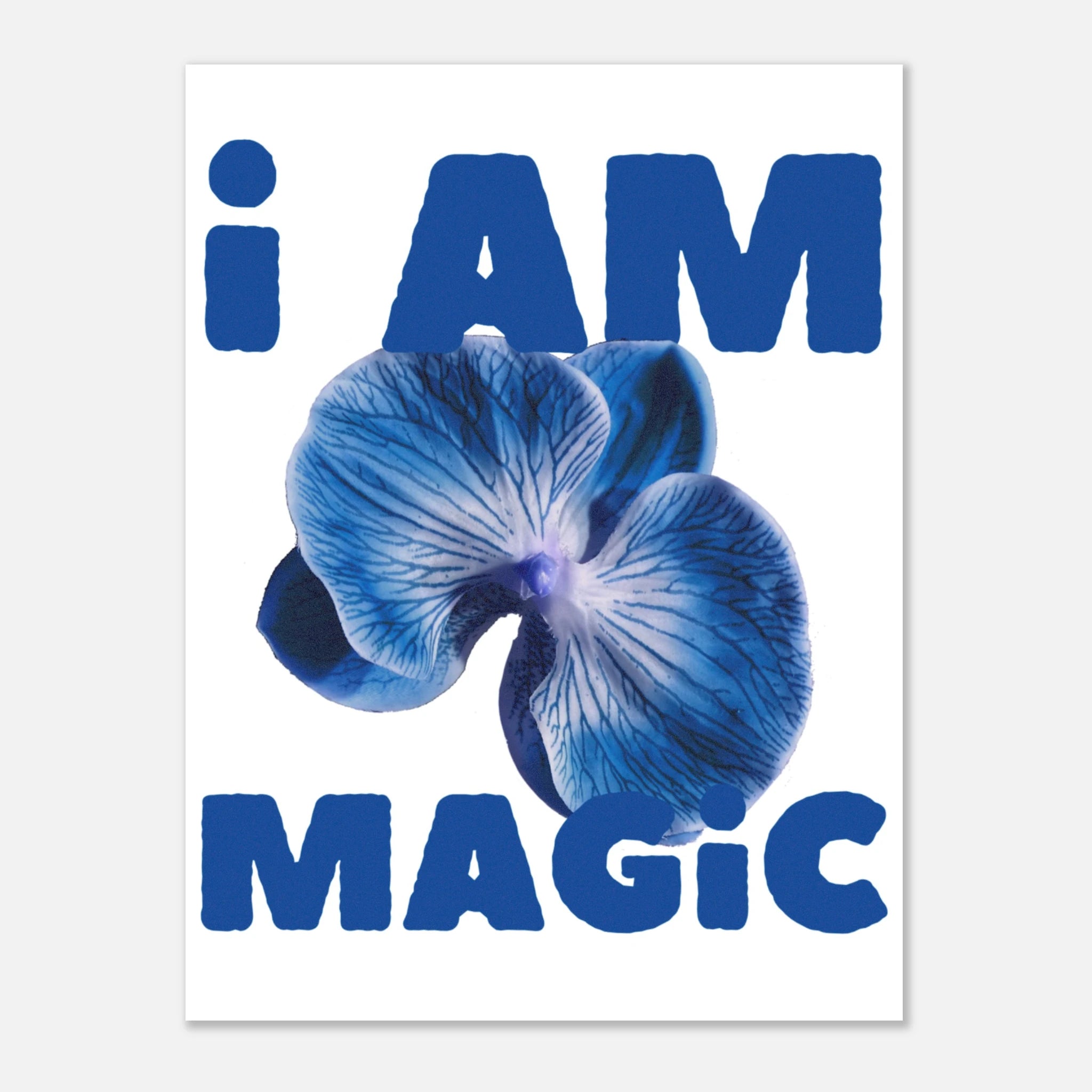 0266d704-674a-4f57-8e2f-a0d4c87ec49c