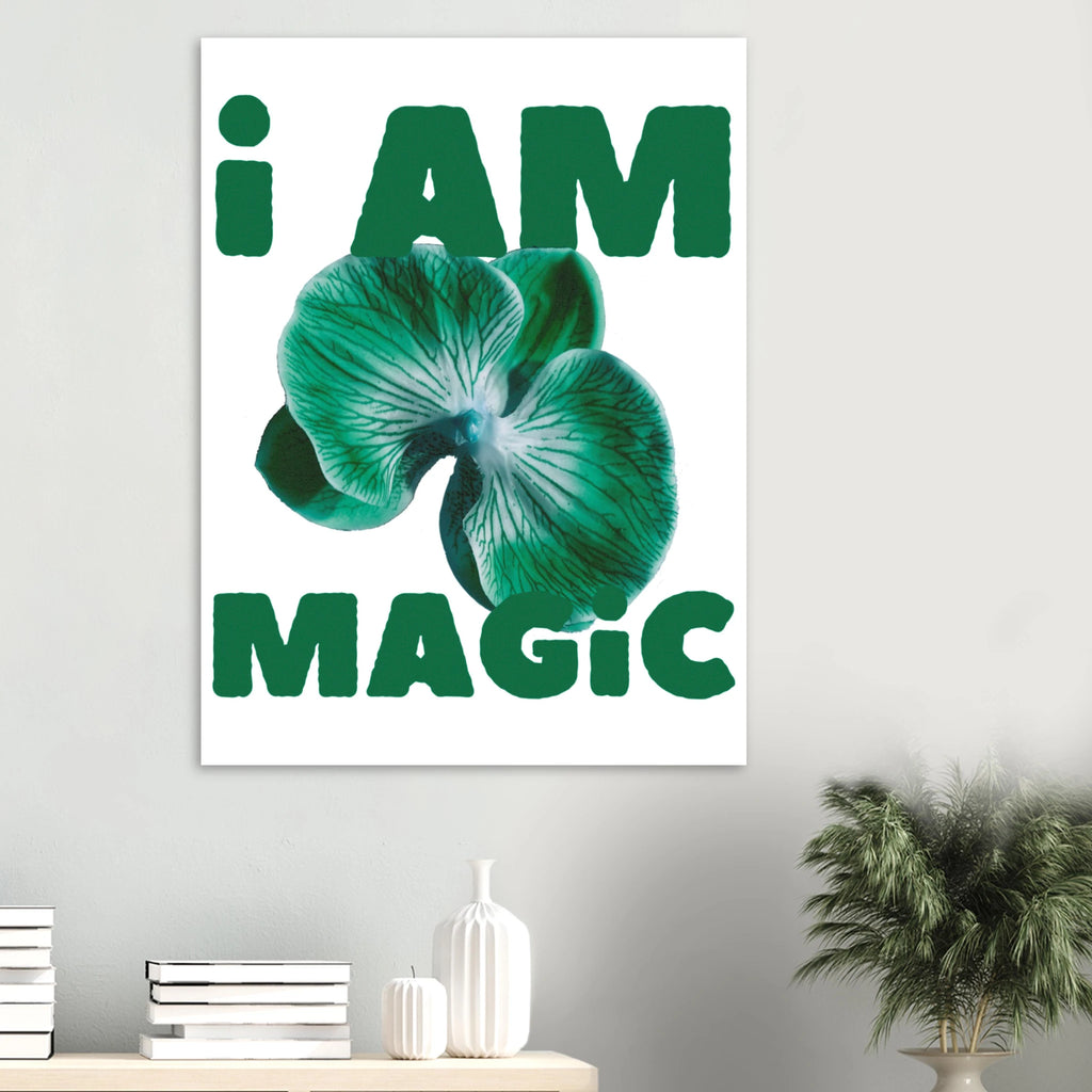 4e2e0755-0aaa-4a88-a7d7-18b7503960ff