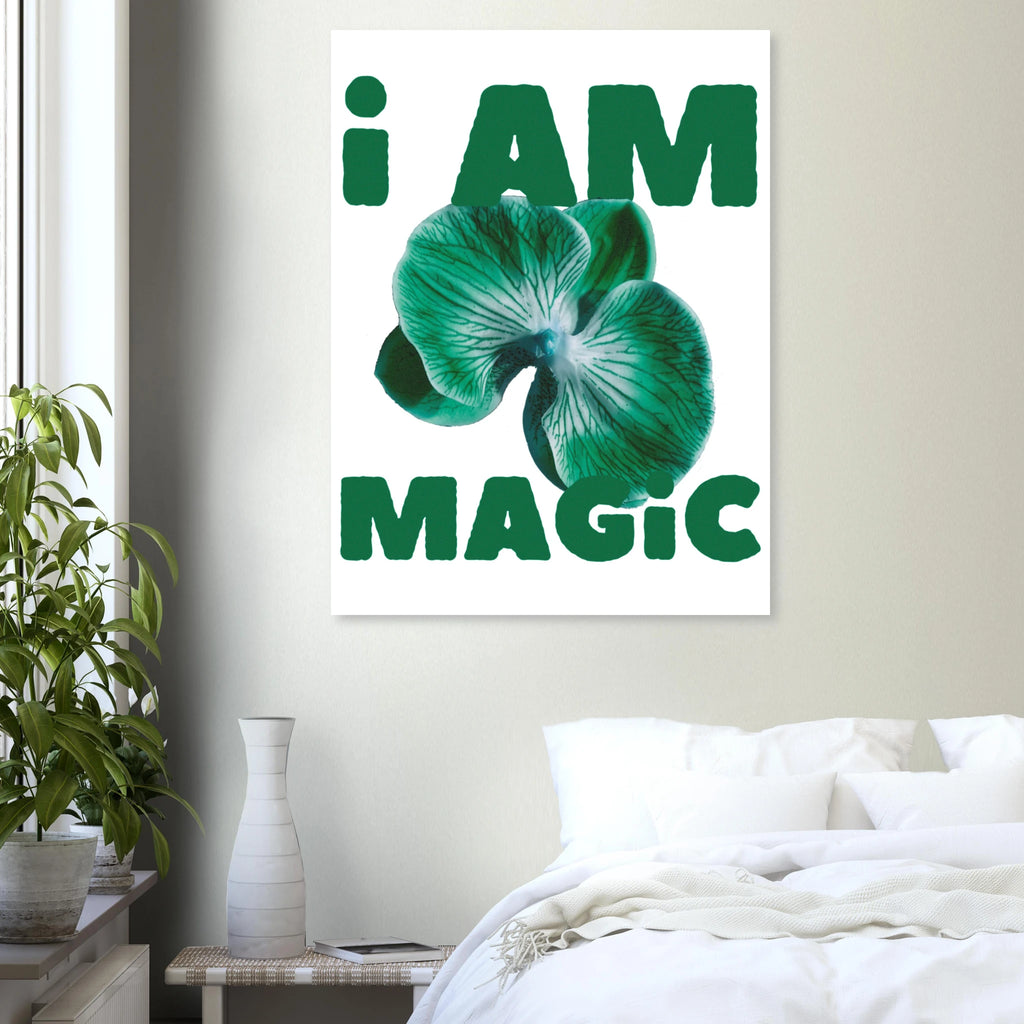 54afffdf-14f2-4ab2-8ec8-5b881f7a8daf