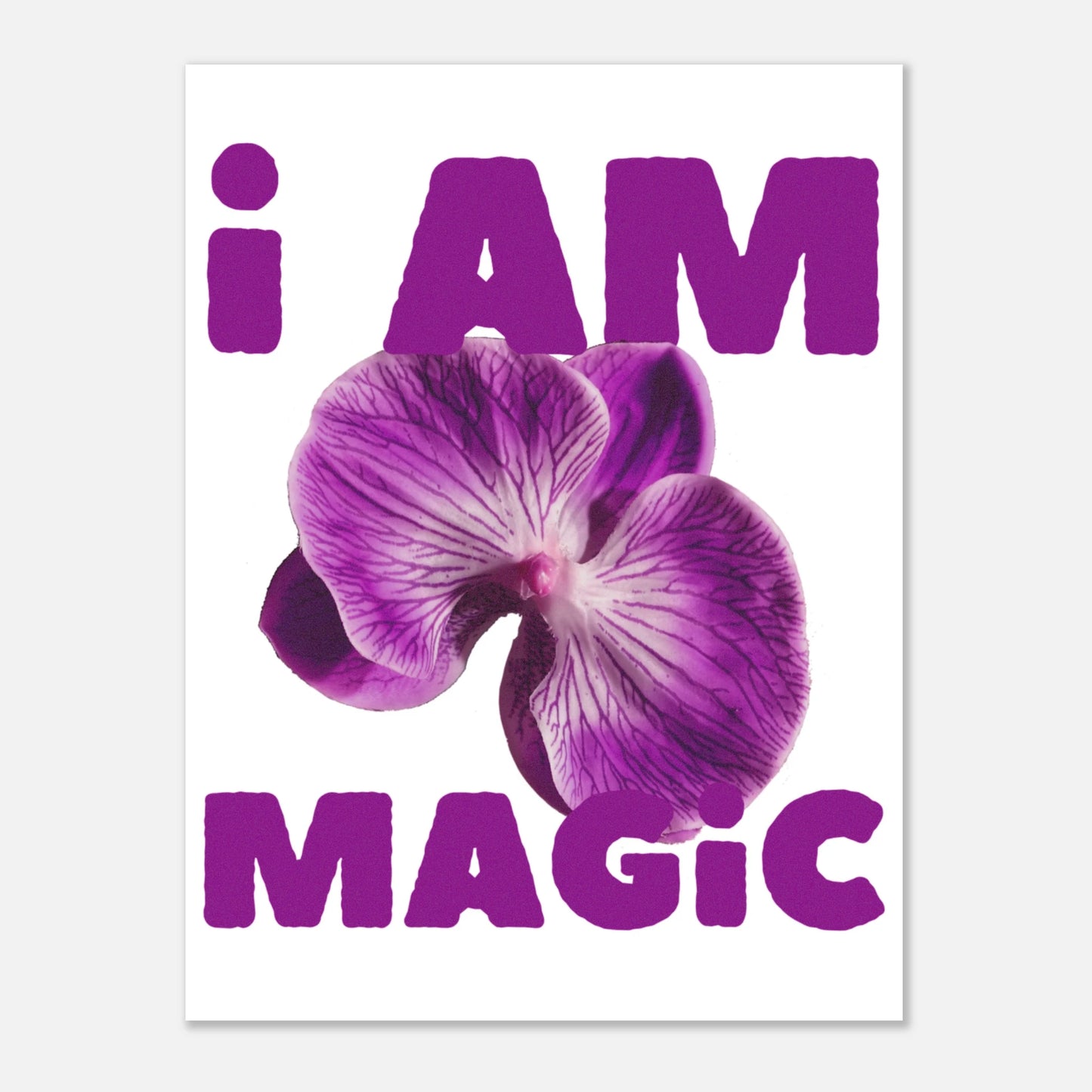 8de2fba5-e2d9-4c68-bd0e-fb8277f9be5d