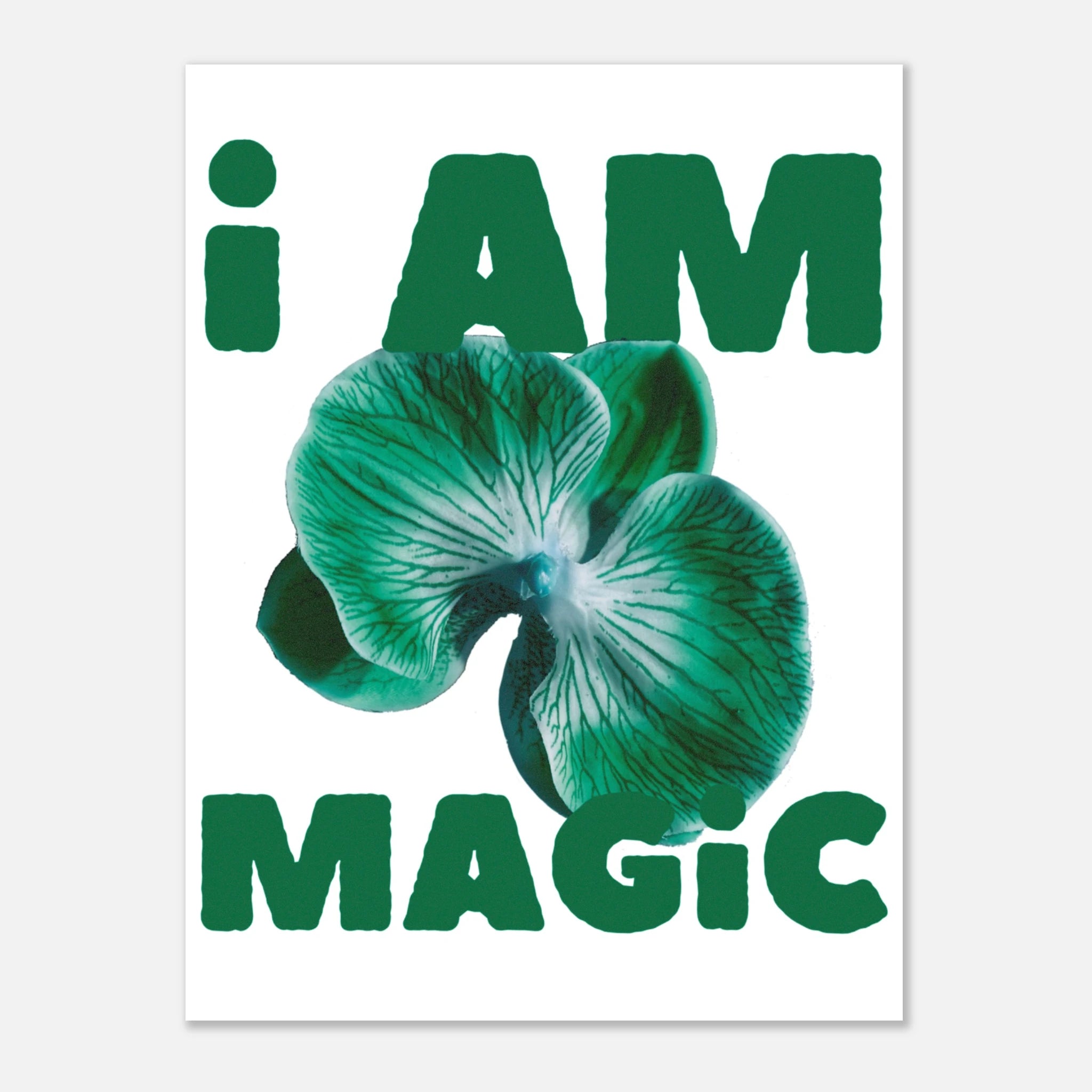 b9172976-c584-4f6a-85eb-af8523f3553c